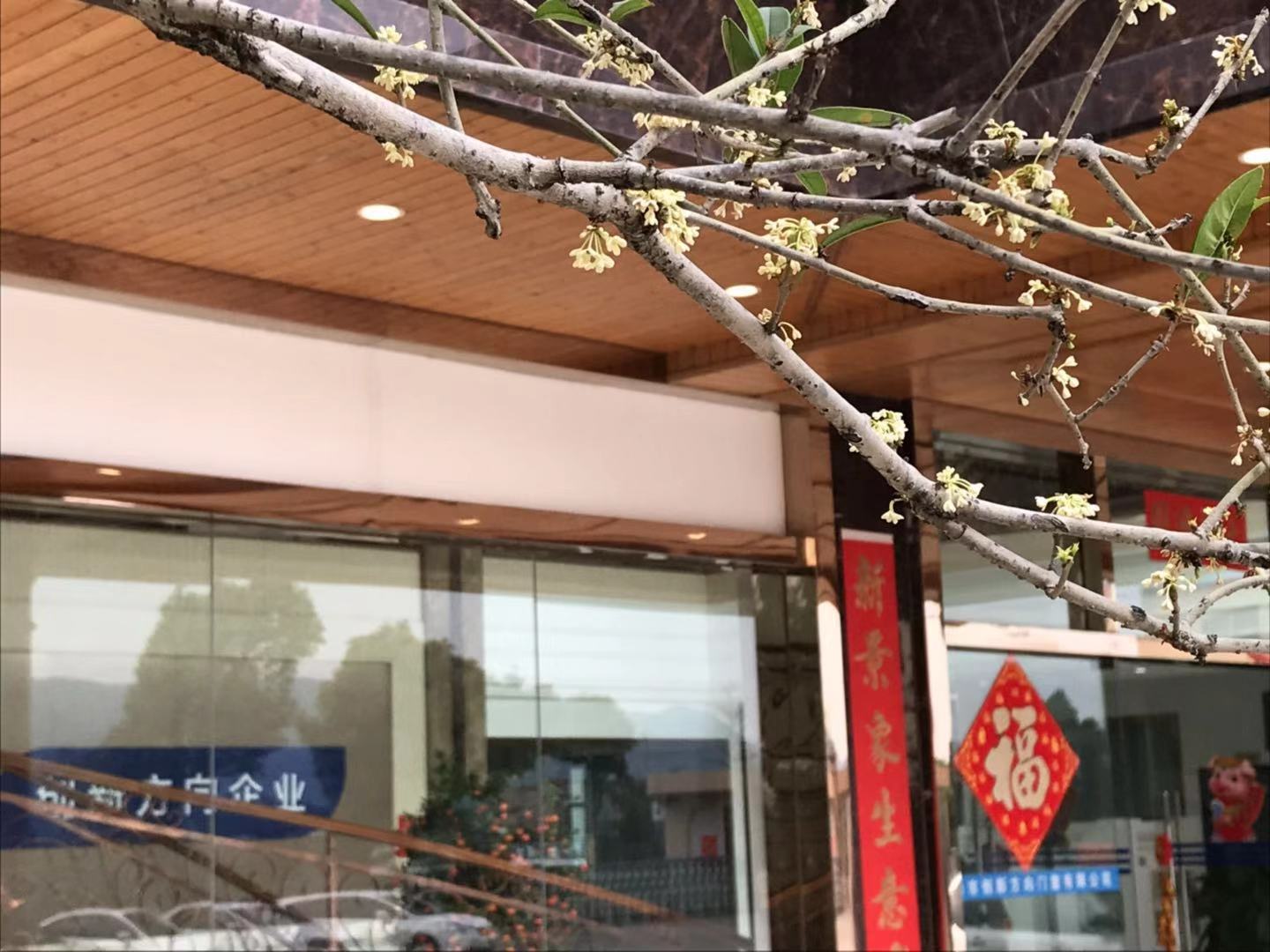 十大品牌门窗